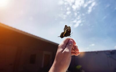 Personal Rebirth, A Client Story